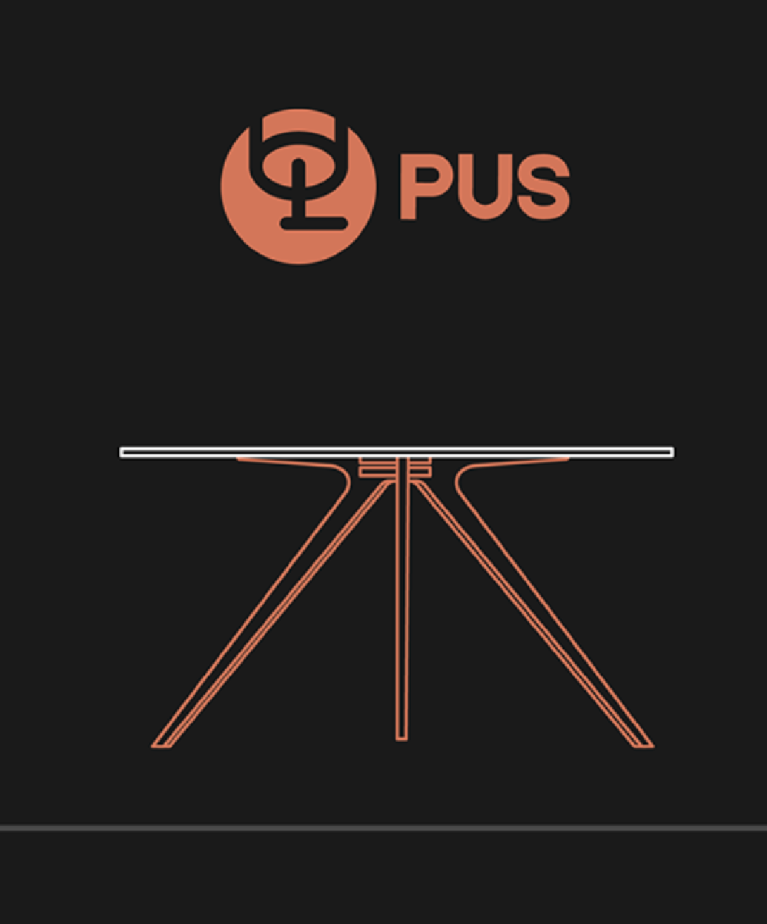 Social Media Content - PUS